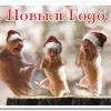 Не получила идентификатор посылки - последнее сообщение от babakrisy20092009