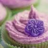 Посоветуйте курсы английского - последнее сообщение от Violette